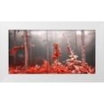 thumbnail image 1 of Palacios, J.A. 24x14 White Modern Wood Framed Museum Art Print Titled - Red forest 809, 1 of 4