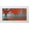 thumbnail image 1 of Palacios, Juan Antonio 18x11 White Modern Wood Framed Museum Art Print Titled - arboles Rojos, 1 of 4