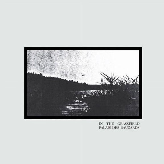 Palais Des Bauzards - In the Grassfield - Music & Performance - Vinyl
