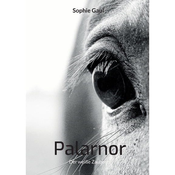 Palarnor: Der weie Zauberer, (Paperback)