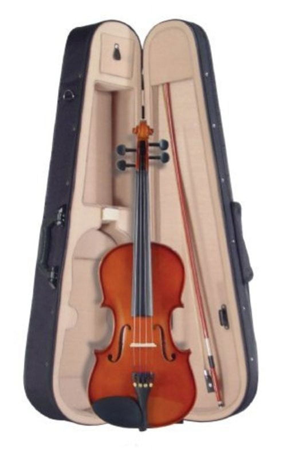 Palatino VN-350-3/4 Campus Violin Outfit, 3/4 Size Multi-Colored