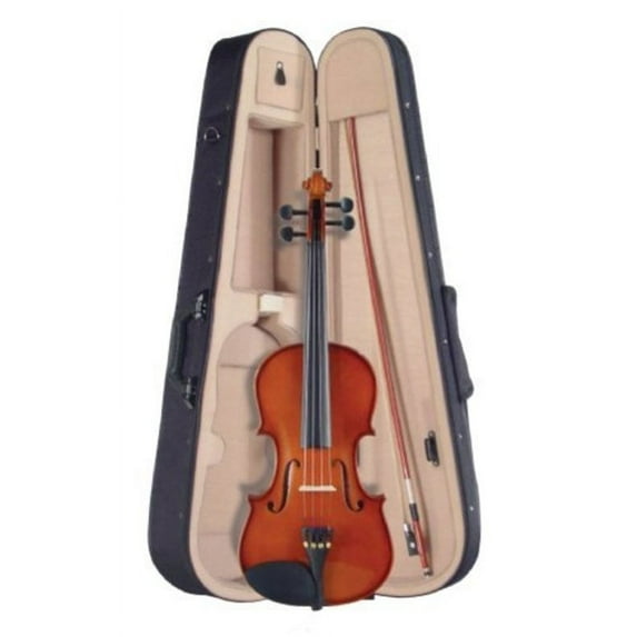 Palatino VN-350-3/4 Campus Violin Outfit, 3/4 Size Multi-Colored