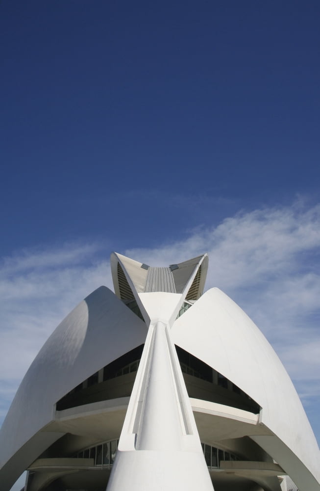 Palau De Les Arts Reina Sofia Building By Santiago Calatrava Canvas Art - Mark Thomas  Design Pics (24 x 38)