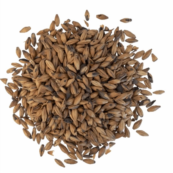 Pale Chocolate Malt 200L for Brewing Light Roasted Malted Barley for Beer Making, Home Brewing & Specialty Grain Recipes 1 lb Whole Grain
