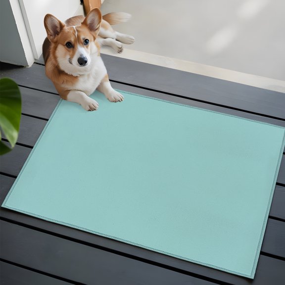 Pale Mint Washable Entry Rug 2x3 Minty Green Color Solid Background Rustic Farmhouse Low-Profile Area Rugs with Non Slip Backing Indoor Floor Carpet for Entrance Living Room Bedroom Home Office