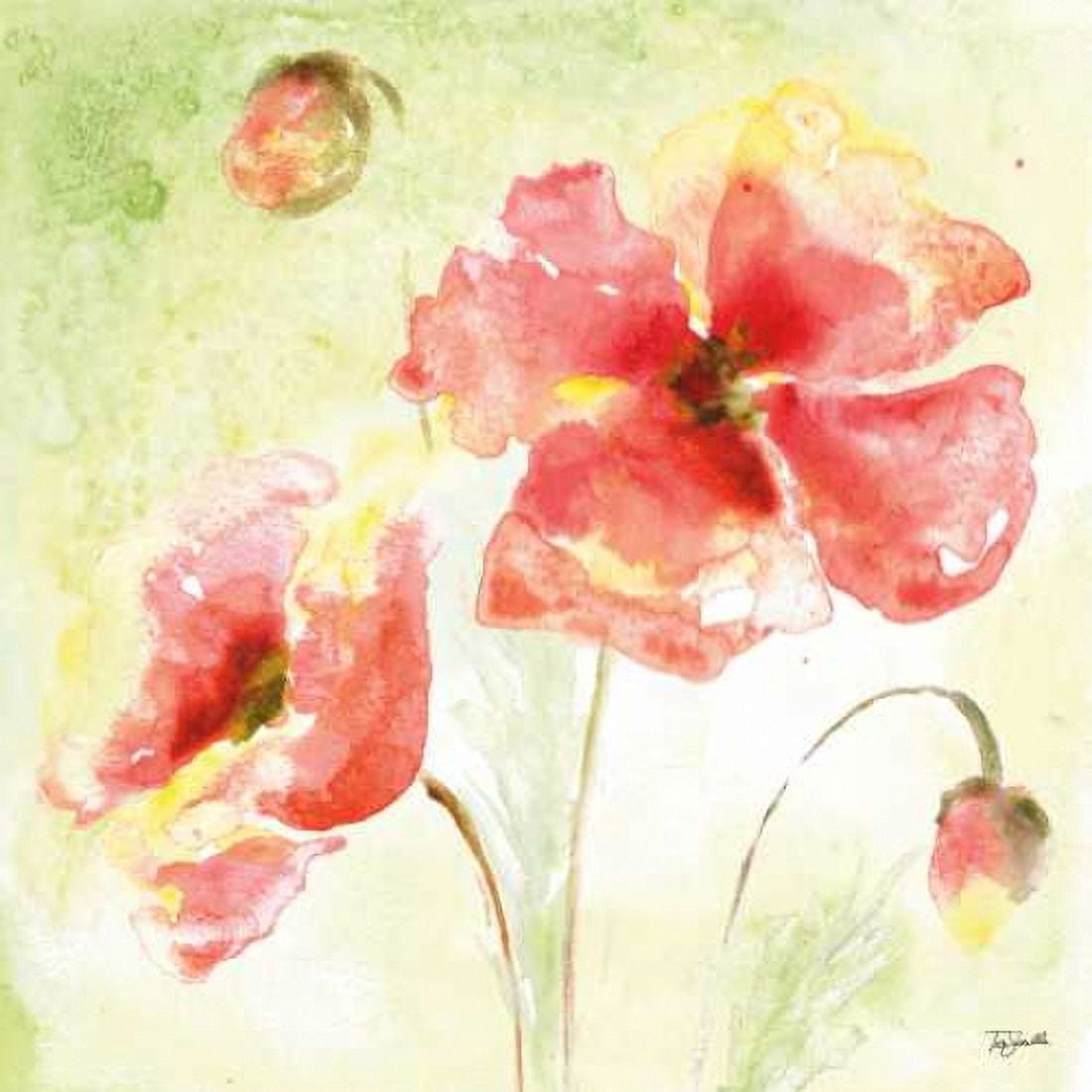Pale Pink Poppies I Canvas Art - Tre Sorelle Studios (24 x 24)