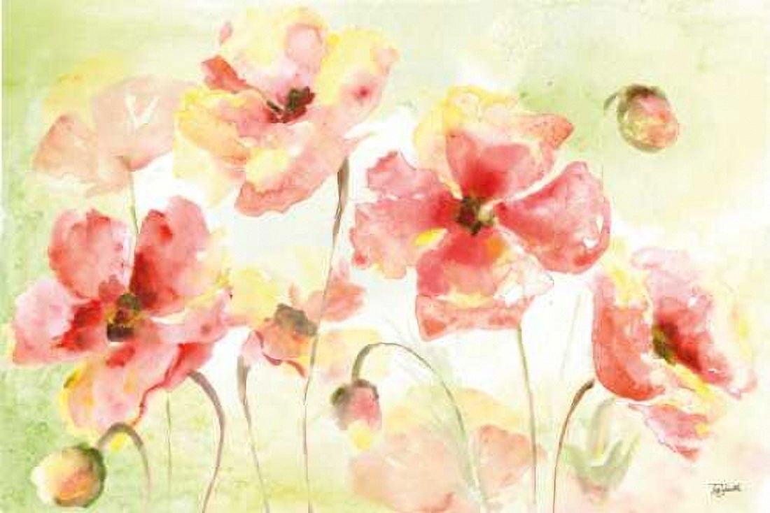 Pale Pink Poppies Landscape Canvas Art - Tre Sorelle Studios (12 x 18)