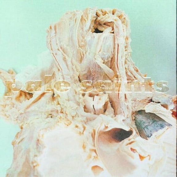 Pale Saints - In Ribbons - Music & Performance - Vinyl