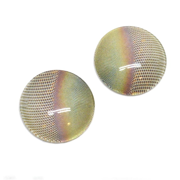 Pale Yellow Blush Fly Insect Bug Compound Glass Eyes