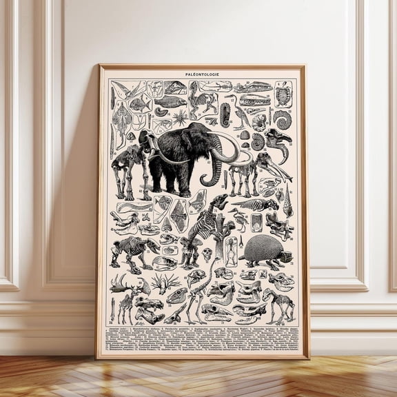 Paleontology Vintage Dinosaur Fossil Wall Decoration, Unframed Paper Poster 8x10in
