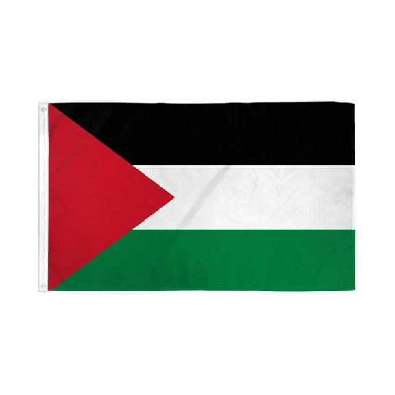Palestine Flag 3x5ft Poly