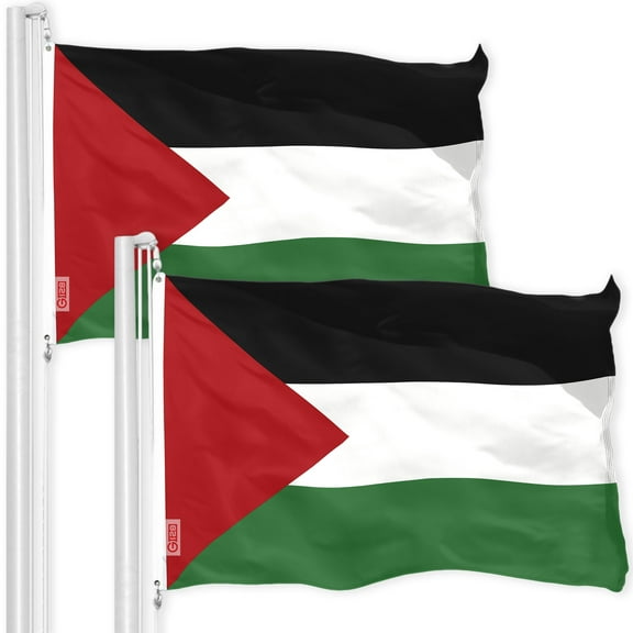 G128G128 3’ x 5’ Polyester Palestine Outdoor Flag, 50D Printed (2 Pack)