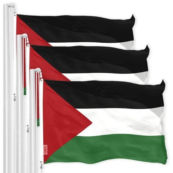 Palestine Palestinian Flag 3x5FT 3-Pack 150D Printed Polyester By G128