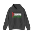 thumbnail image 1 of Palestine Palestinian Pride Flag Hoodie, Gifts, Hooded Sweatshirt, 1 of 4