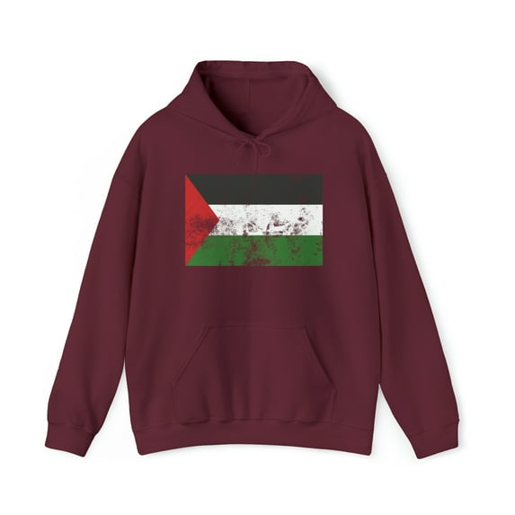 Palestine Palestinian Pride Flag Hoodie, Gifts, Hooded Sweatshirt