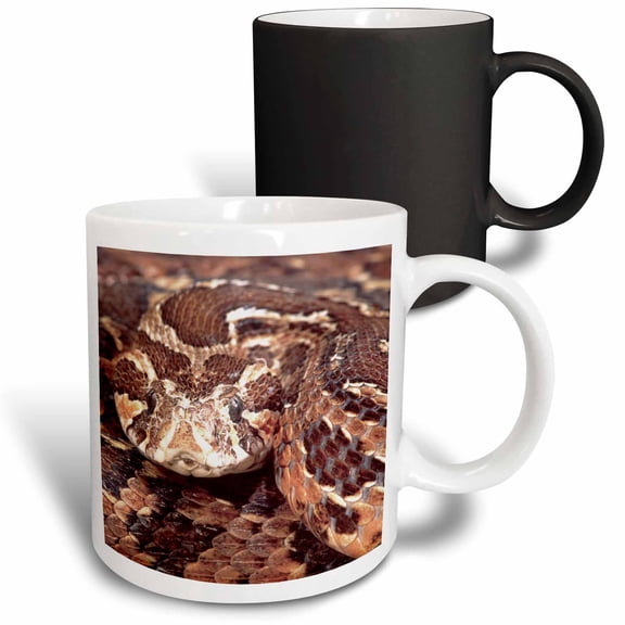 3drose, Palestine Viper Snake - Na02 Dno0440 - David Northcott, 11oz Magic Transforming Mug
