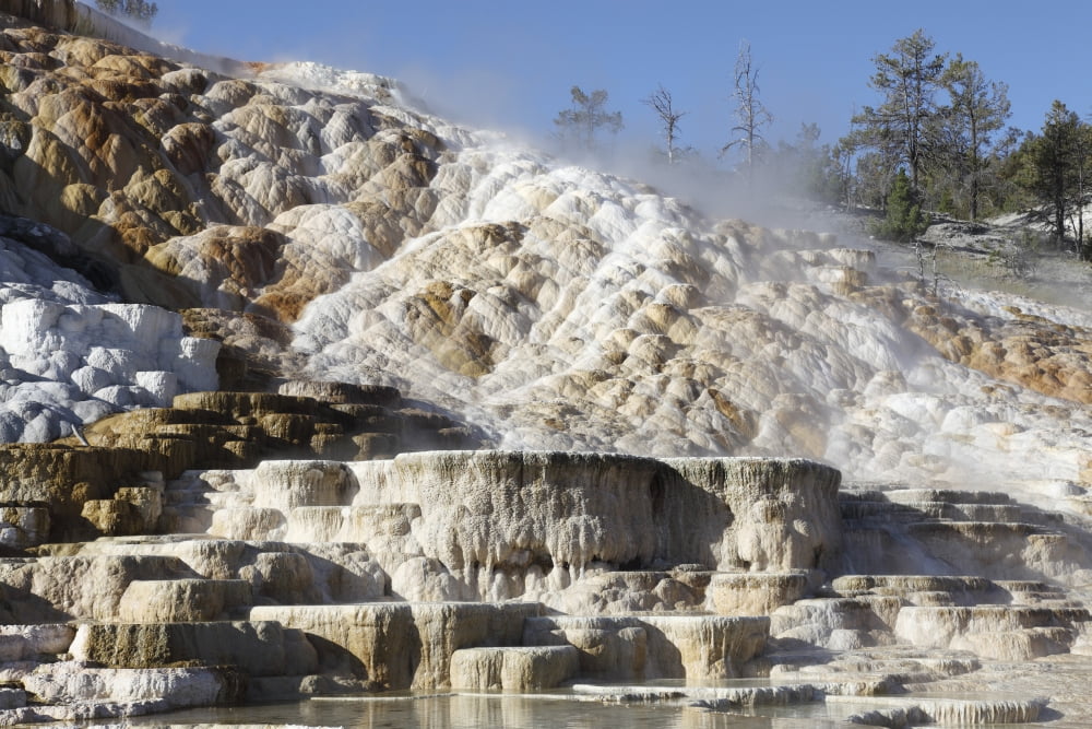 Palette spring and travertine sinter terraces Mammoth Hot Springs Yellowstone National Park Canvas Art - Richard RoscoeStocktrek Images (18 x 12)