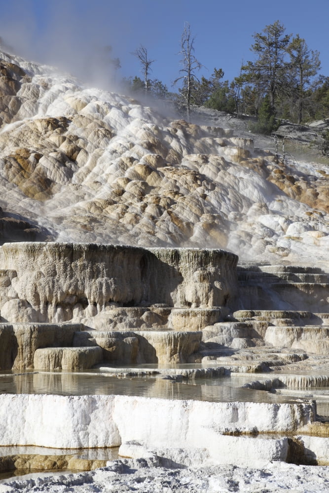 Palette spring and travertine sinter terraces Mammoth Hot Springs Yellowstone National Park Canvas Art - Richard RoscoeStocktrek Images (23 x 35)