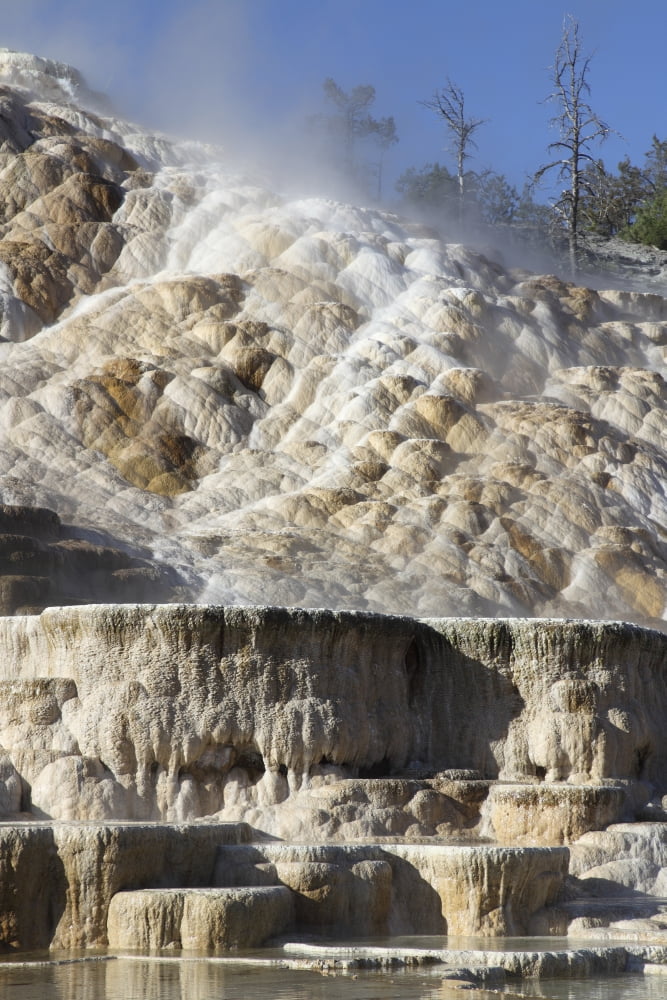 Palette spring and travertine sinter terraces Mammoth Hot Springs Yellowstone National Park Canvas Art - Richard RoscoeStocktrek Images (23 x 35)