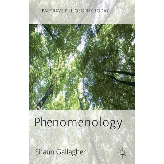 Palgrave Philosophy Today Phenomenology, (Paperback)