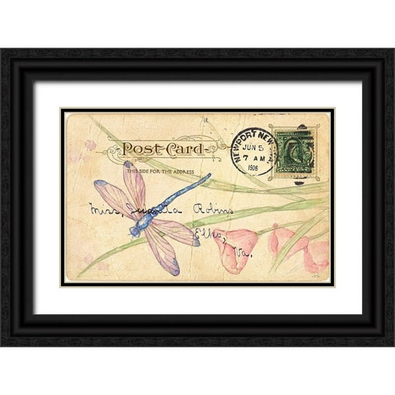Pallan, Nancy S. 32x22 Black Ornate Wood Framed with Double Matting Museum Art Print Titled - Postcard Dragonfly II