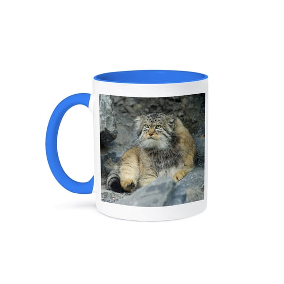 3drose, Pallass Cat, Manul, Asia - Na02 Amr0007 - Andres Morya Hinojosa, 11oz Two-tone Blue Mug