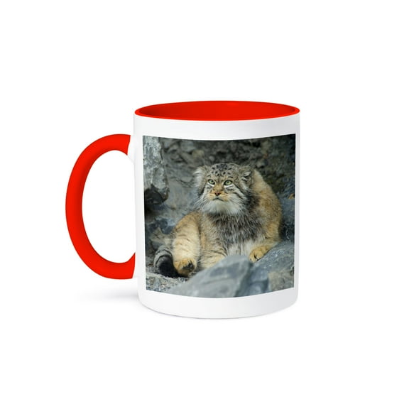 3drose, Pallass Cat, Manul, Asia - Na02 Amr0007 - Andres Morya Hinojosa, 15oz Two-tone Red Mug