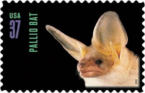 Pallid Bat Canvas Art - US POSTAL SERVICE (12 x 18)