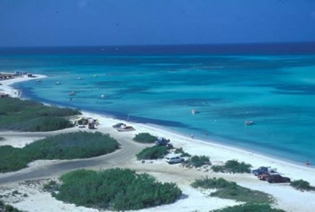 Palm Beach Aruba Caribbean Canvas Art - Robin Hill DanitaDelimont (36 x 24)