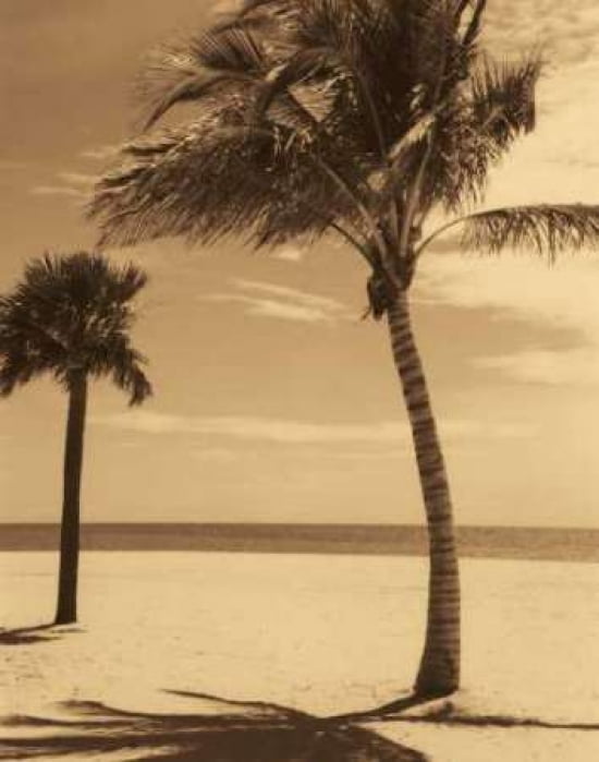 Palm Beach I Canvas Art - Dennis Kelly (22 x 28)