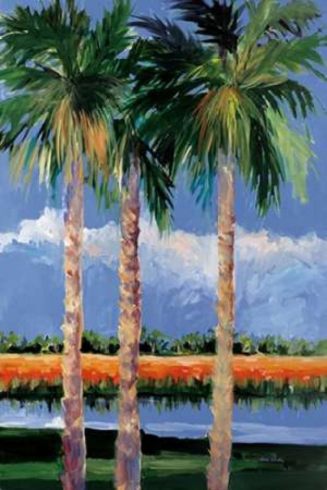 Palm Coast Canvas Art - Jane Slivka (20 x 28)