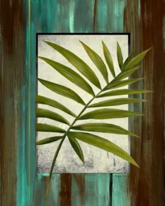 Palm Detail II Canvas Art - Steve Butler (20 x 24)