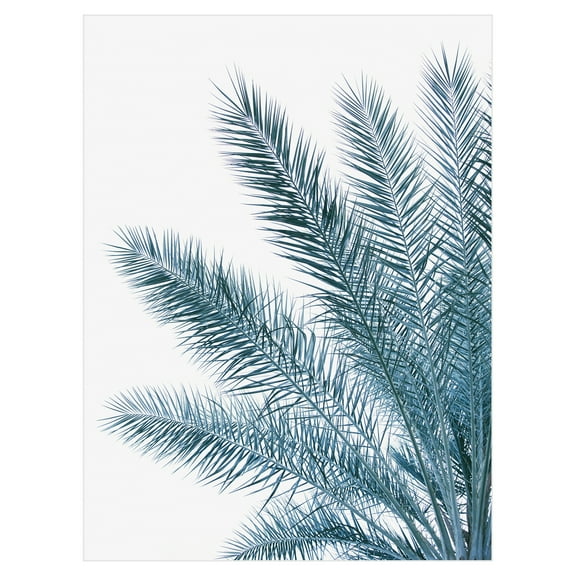 Palm Fresh by Irene Suchocki Palm Tree Photo Canvas Art