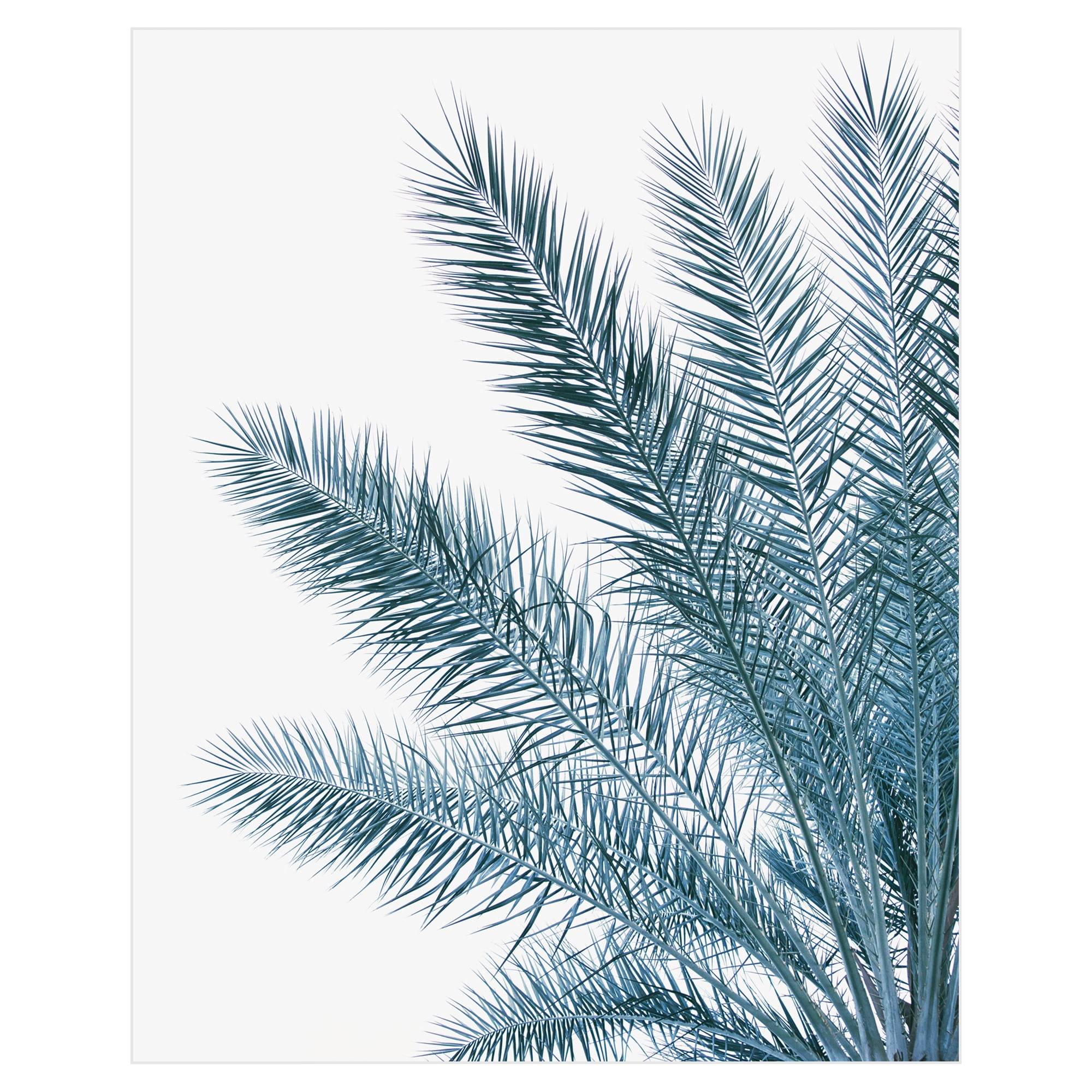 Palm Fresh by Irene Suchocki Palm Tree Photo Canvas Art