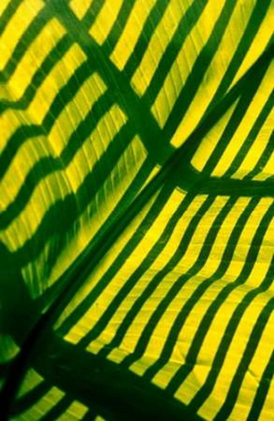 Palm Frond Canvas Art - Cyril Blue (12 x 18)