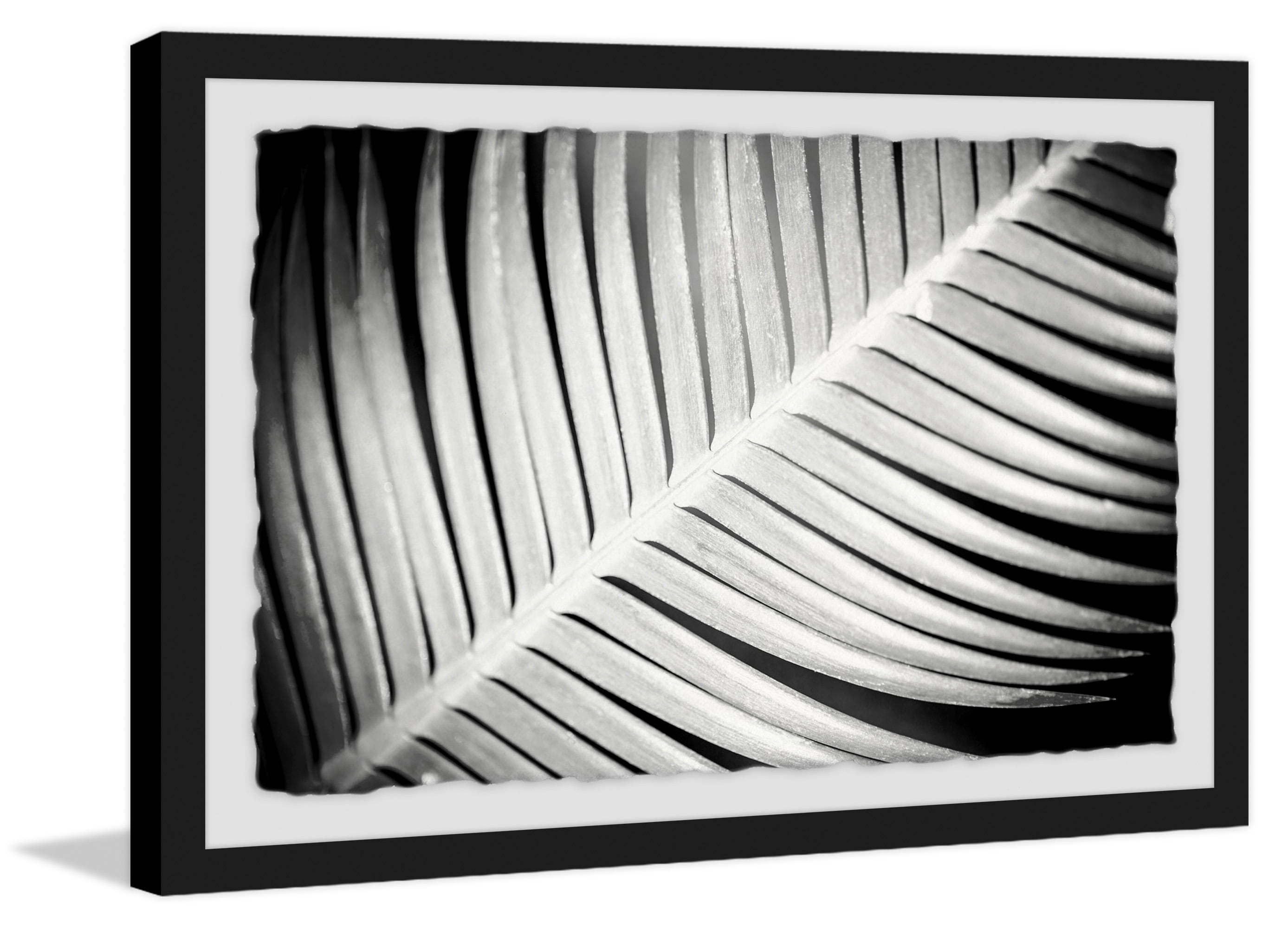 Palm Frond II Framed Painting Print