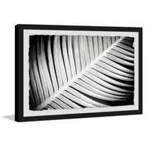 Palm Frond II Framed Painting Print