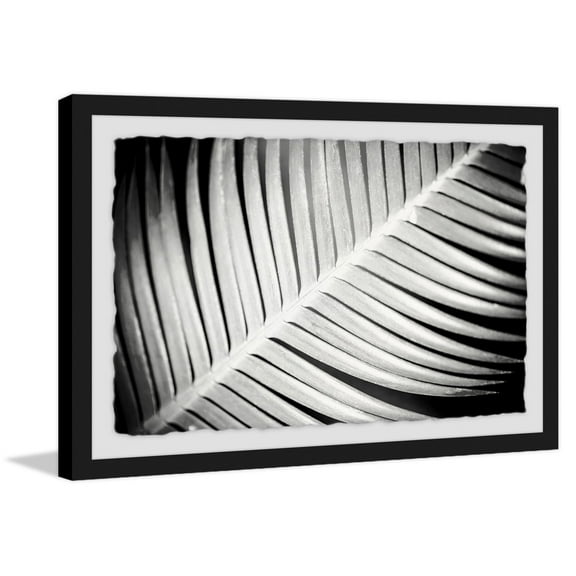 Palm Frond II Framed Painting Print