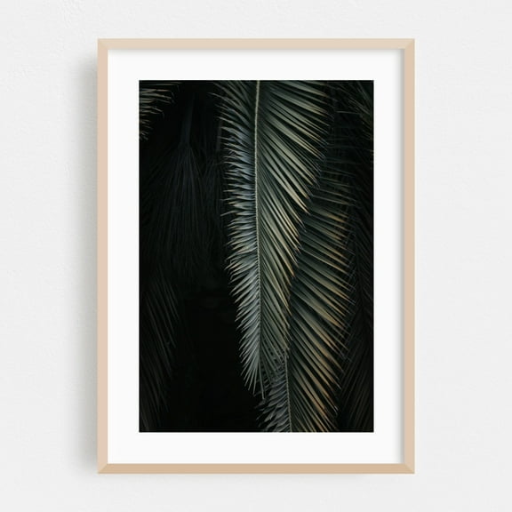 Palm Frond - Photography Palm Tree Tropical Nature Botanical Minimalist Coastal Abstract Oak Framed Wall Art Print 5 x 7 inches