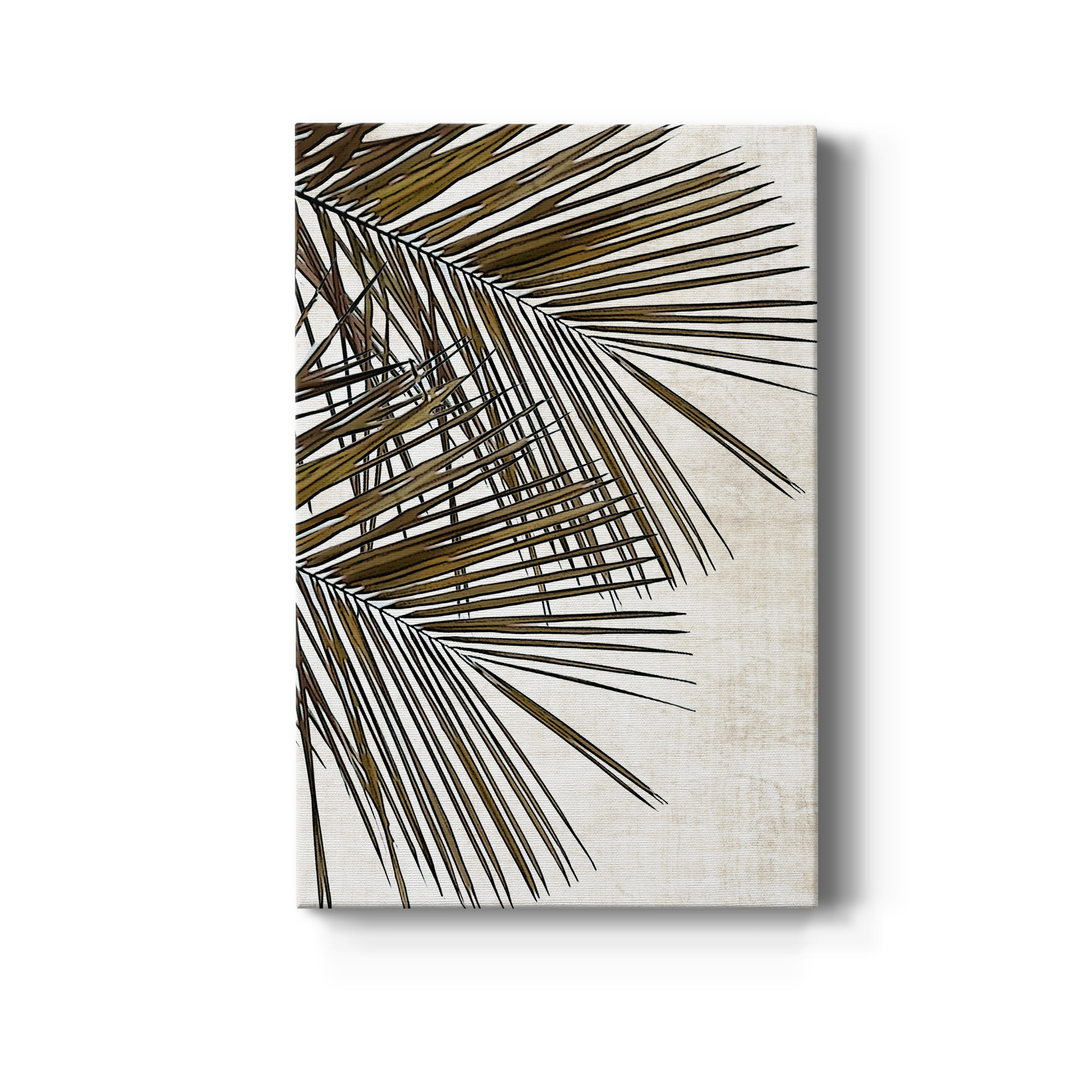 Palm I Premium Gallery Wrapped Canvas - Ready to Hang - 24 x 36