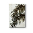 thumbnail image 1 of Palm II Premium Gallery Wrapped Canvas - Ready to Hang - 18 x 27, 1 of 9