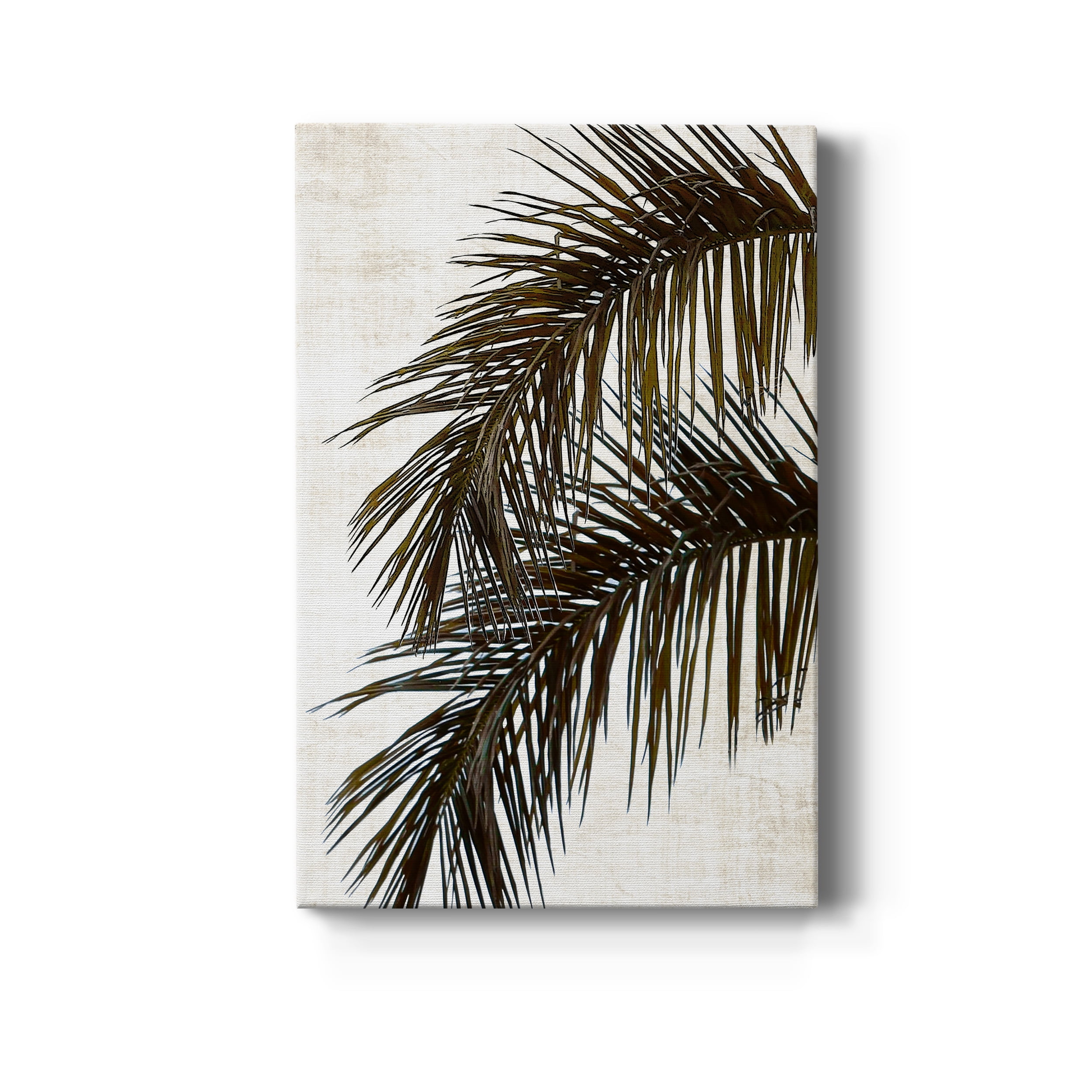 Palm II Premium Gallery Wrapped Canvas - Ready to Hang - 32 x 48