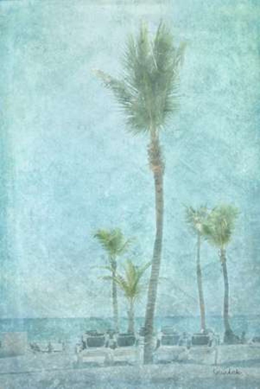 Palm III Canvas Art - Ramona Murdock (24 x 36)