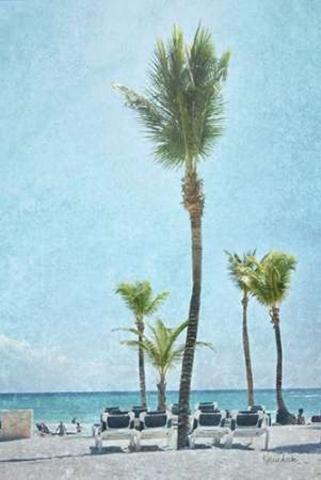 Palm IV Canvas Art - Ramona Murdock (24 x 36)