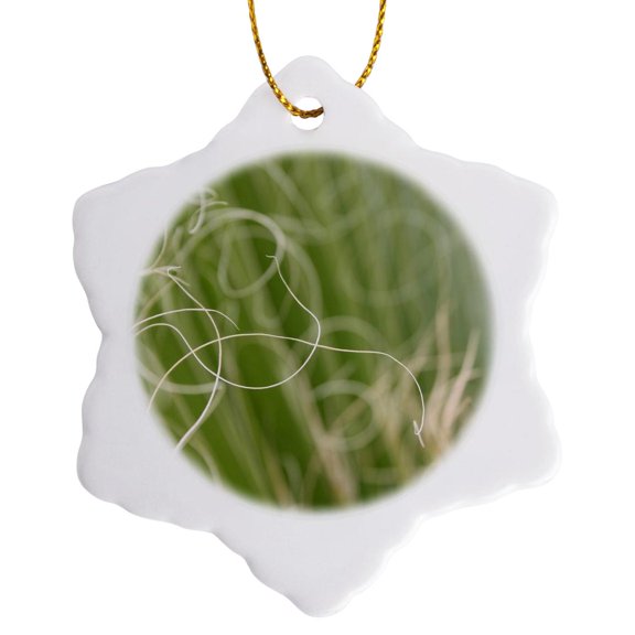 3drose, Palm Leaf Frond Abstract Photography Macro, 3 inch Snowflake Porcelain Ornament