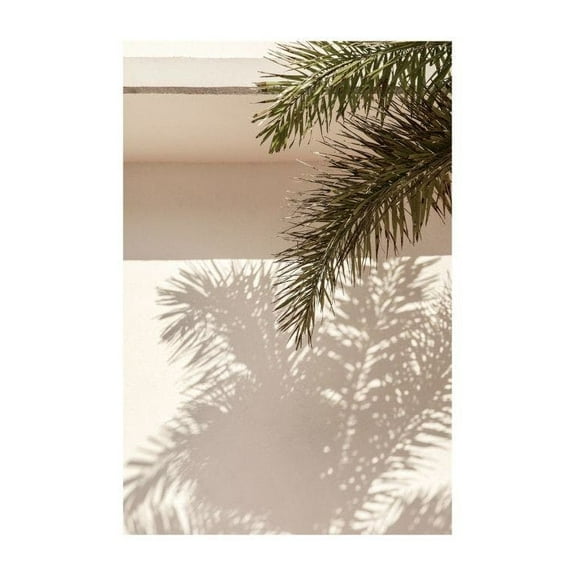 Palm Leaf Shadows Print Wall Art, Modern Wall Decor For Living Room Bedroom, 8x12 UNFRAMED