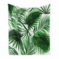 thumbnail image 1 of Palm Leaf Soft Flannel Fleece Throw Blanket, Realistic Vivid Leaves of Palm Tree Growth Ecology Botany Themed Print, Cozy Plush for Indoor and Outdoor Use, 50" x 60", Fern Green White, by Ambesonne, 1 of 6