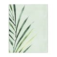 thumbnail image 1 of Stupell Industries Palm Leaf Tropics Canvas Wall Art, design by Camila Juncos, 40 x 30, 1 of 7
