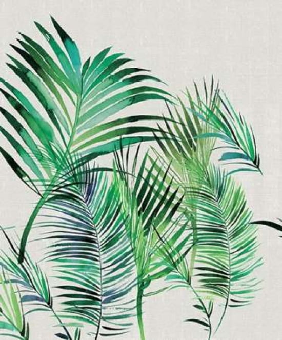 Palm Leaves Canvas Art - Summer Thornton (20 x 24)