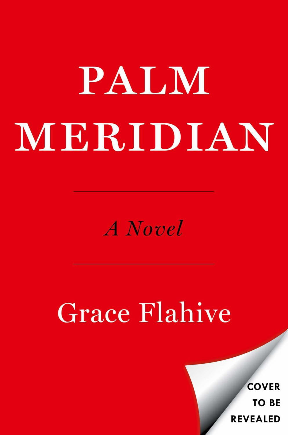 Grace Flahive: Palm Meridian: A Novel (Hardcover)